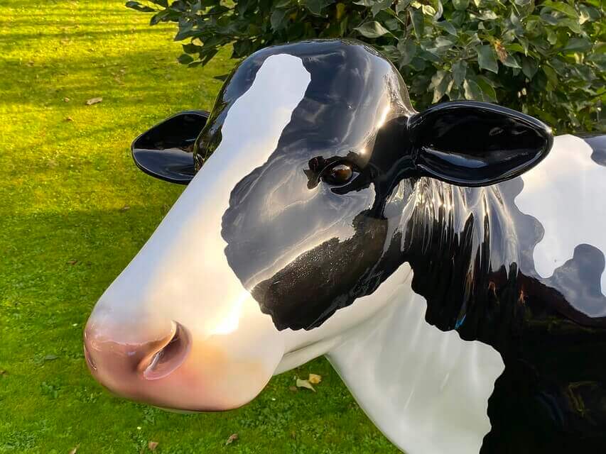 Lebensgroße Deko Kuh ohne Hörner in der Farbe schwarz weiss