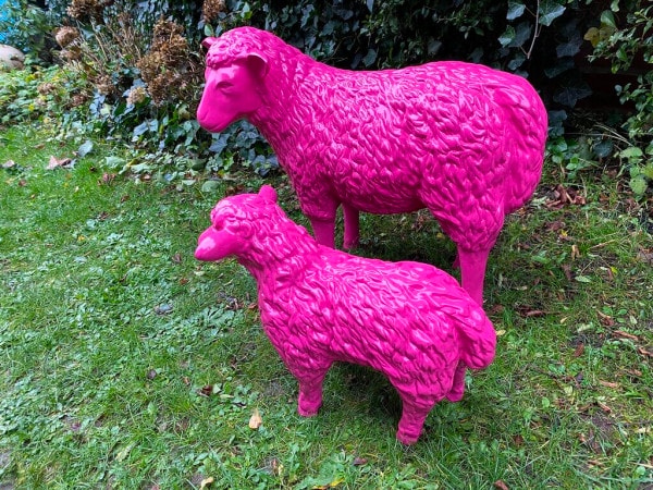 Kunst Schaf und Lamm in Pink