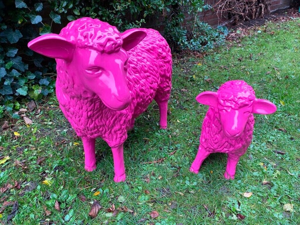 Kunst Lamm und Kunst Schaf in Pink
