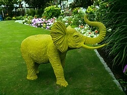 Elefant Farbe nach Kundenwunsch