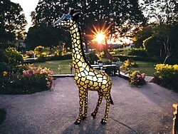 Kunst Giraffe Golden Art