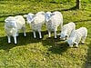 Drei Schafe und zwei Lämmer naturfarben bemalt
