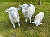Deko Kunst Schafe und Lamm